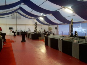 Saint-Dié-des-Vosges-20120120-00197
